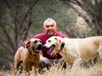 Congreso otorga medalla al «encantador de perros»