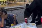 Oso se come la comida de una familia en Nuevo León, México Oso se come la comida de una familia en Nuevo León, México