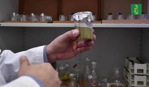 Los inventos 100 % dominicanos registrados por la Onapi en un año