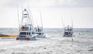 Club Náutico SD dará apertura al Torneo Internacional de Pesca al Marlin Azul
