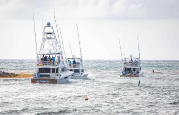 Club Náutico SD dará apertura al Torneo Internacional de Pesca al Marlin Azul
