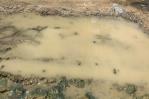 Denuncian foco de contaminación por aguas residuales estancadas en sector de El Seibo