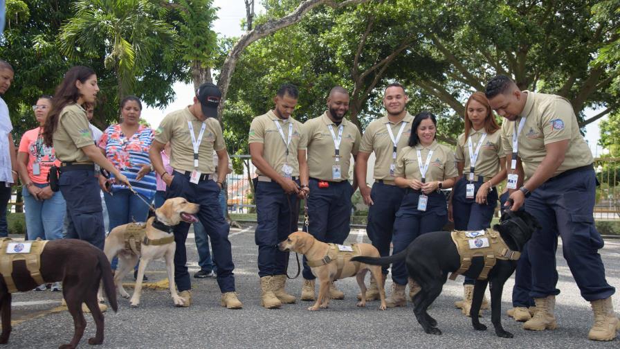 Inspecciones sanitarias en aeropuertos contarán con 28 nuevos binomios caninos y 11 furgonetas