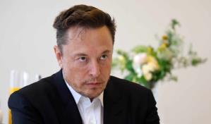 Elon Musk, a favor de que EE.UU. permita la entrada de inmigrantes  trabajadores y honestos