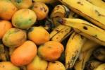 Bananos y mangos llegan a Sicilia de la mano del calentamiento climático Bananos y mangos llegan a Sicilia de la mano del calentamiento climático