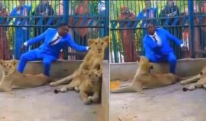 Video | Pastor se encierra en una jaula con leones porque contaba con protección divina