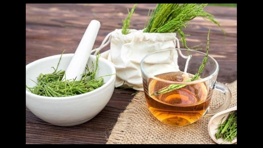 Beneficios de las hierbas diuréticas Beneficios de las hierbas diuréticas