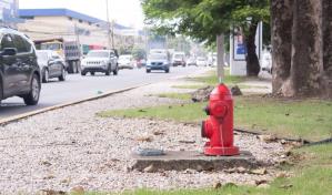 La Caasd evalúa el estado de más de mil hidrantes en el GSD