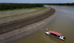 Encuentran más de 100 delfines muertos en Amazonía brasileña en medio de altas temperaturas del agua