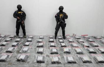 Confiscan 591 láminas de drogas escondidas en cajas de guineos en puerto Caucedo