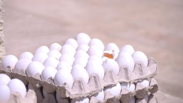 Gobierno compra 9.6 millones de huevos a productores afectados con el cierre de la frontera