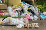 La basura desborda los contenedores en el residencial Carmen Renata en Pantoja La basura desborda los contenedores en el residencial Carmen Renata en Pantoja