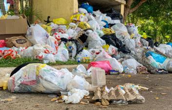 La basura desborda los contenedores en el residencial Carmen Renata en Pantoja