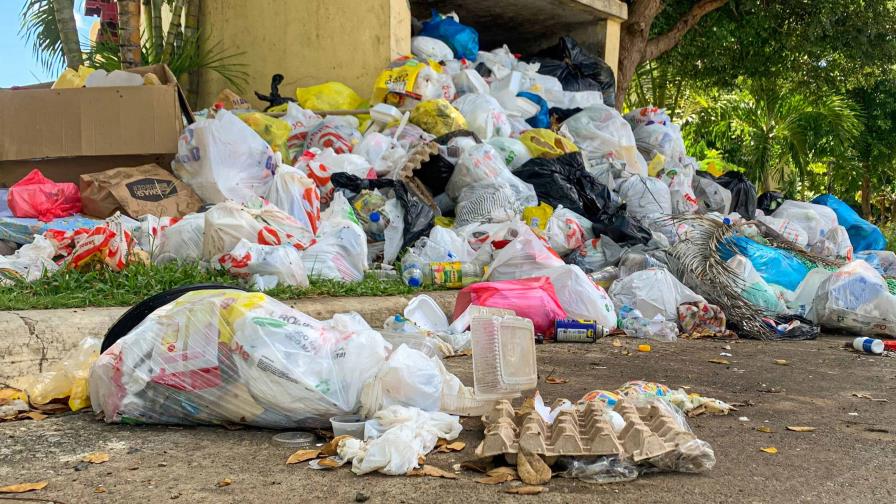 La basura desborda los contenedores en el residencial Carmen Renata en Pantoja