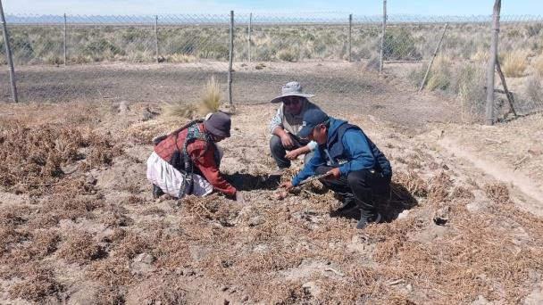 La sequía pone en riesgo de hambruna a familias en Bolivia