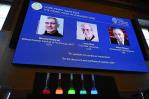 El Nobel de Química es para los autores del descubrimiento y síntesis de los puntos cuánticos El Nobel de Química es para los autores del descubrimiento y síntesis de los puntos cuánticos