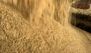 El precio del azúcar alcanza su nivel más alto en 13 años por impacto de El Niño