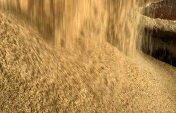 El precio del azúcar alcanza su nivel más alto en 13 años por impacto de El Niño