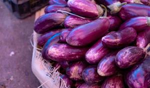 La Unión Europea rechaza menos productos dominicanos, pero quedan unos en la mira