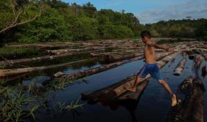 Brasil declara en situación crítica el principal afluente del río Amazonas