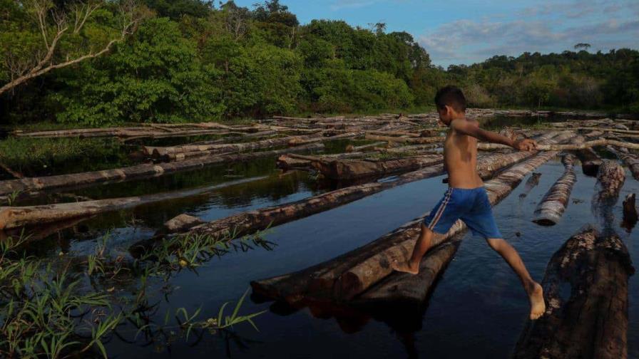 Brasil declara en situación crítica el principal afluente del río Amazonas