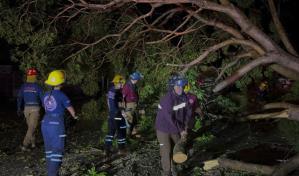 Hurac&aacute;n Lidia deja dos muertos, bloqueos en v&iacute;as y corte del servicio el&eacute;ctrico en M&eacute;xico