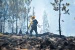 Proyecto de presupuesto aumentaría partida para combatir incendios forestales Proyecto de presupuesto aumentaría partida para combatir incendios forestales