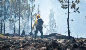 Proyecto de presupuesto aumentaría partida para combatir incendios forestales
