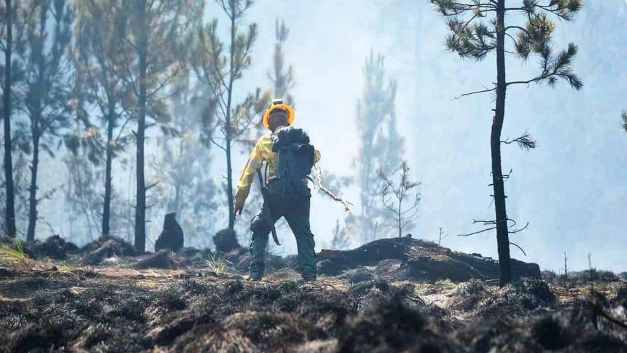Proyecto de presupuesto aumentaría partida para combatir incendios forestales