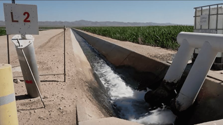 Arizona busca proteger el agua al cancelar un contrato saudí para cultivar en el desierto