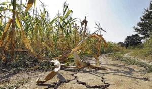 La Unión Europea plantea una impuesto climático global al sector del petróleo y gas