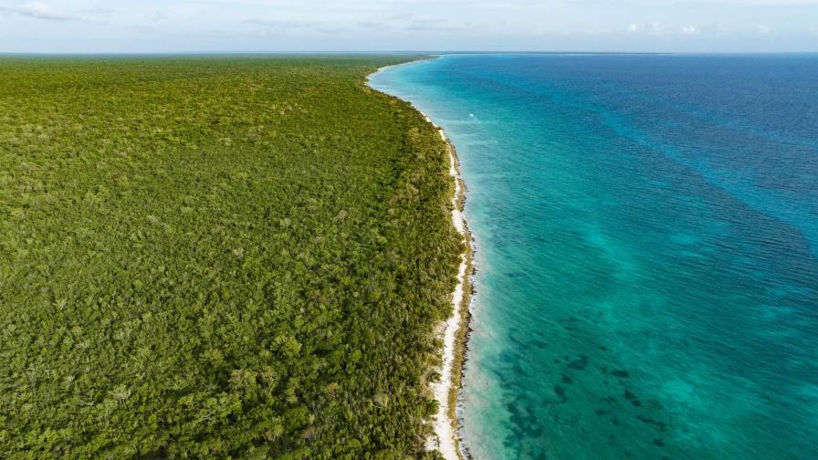 Cotubanamá y Valle Nuevo, en proyecto para medir impacto del cambio climático en áreas protegidas