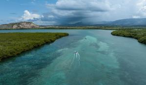 Estero Hondo: el santuario por excelencia del manatí antillano