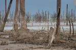 Parque Nacional Lago Enriquillo: un espacio de gran riqueza ecológica Parque Nacional Lago Enriquillo: un espacio de gran riqueza ecológica