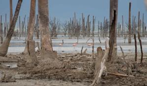 Parque Nacional Lago Enriquillo: un espacio de gran riqueza ecológica