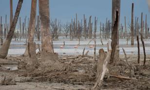 Parque Nacional Lago Enriquillo: un espacio de gran riqueza ecológica