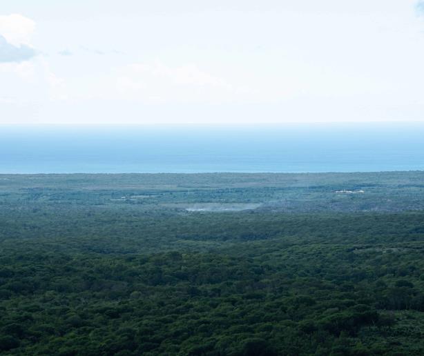 Sierra de Bahoruco: un pilar del endemismo en la isla Hispaniola