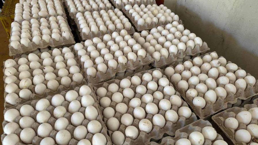 Productores de huevos reportan pérdidas económicas por cerca de mil millones a causa del cierre fronterizo