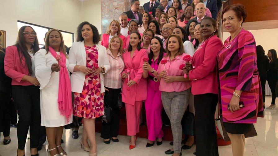 Comisión de diputadas exige más presupuesto en salud para combatir cáncer de mama