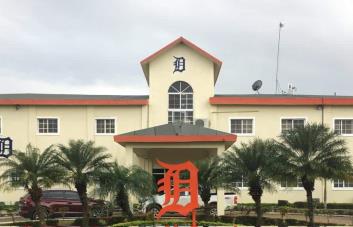 Roban academia de los Tigres de Detroit en San Pedro de Macorís