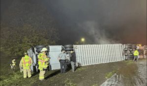 Mueren ocho vacas y sacrifican otras seis al estrellarse el camión que las llevaba en EE.UU.