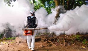 ¿Qué tienen en común los barrios elegidos por Salud Pública para las jornadas de fumigación por dengue?