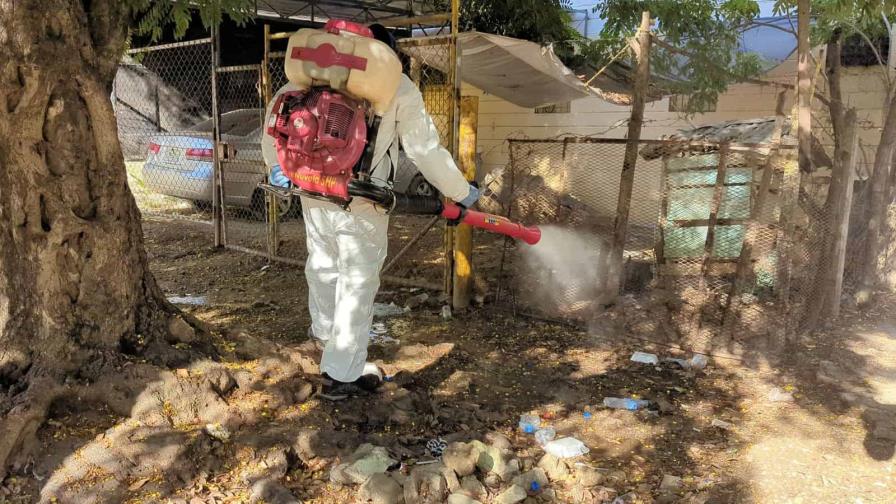 Fumigan unas 40,000 viviendas en República Dominicana en campaña para erradicar el dengue