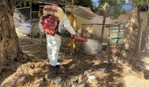 Masiva jornada de fumigación y descacharrización en Santiago para combatir el dengue
