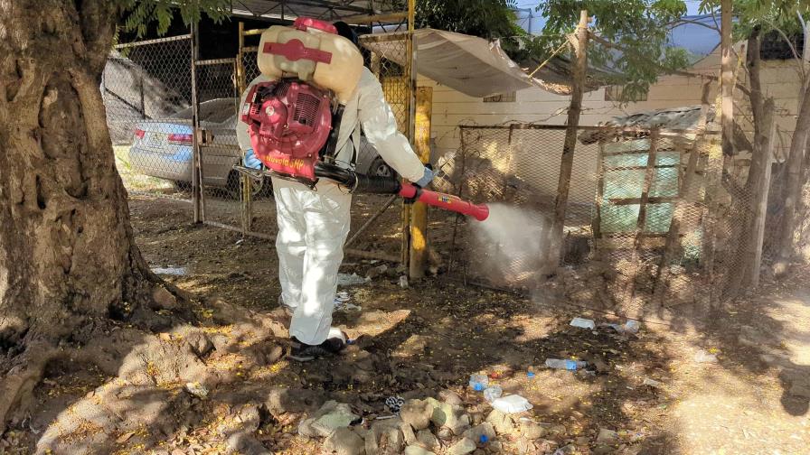 Masiva jornada de fumigación y descacharrización en Santiago para combatir el dengue