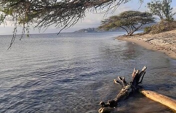Encuentran cadáver de hombre atado en playa El Derrumbao en Baní