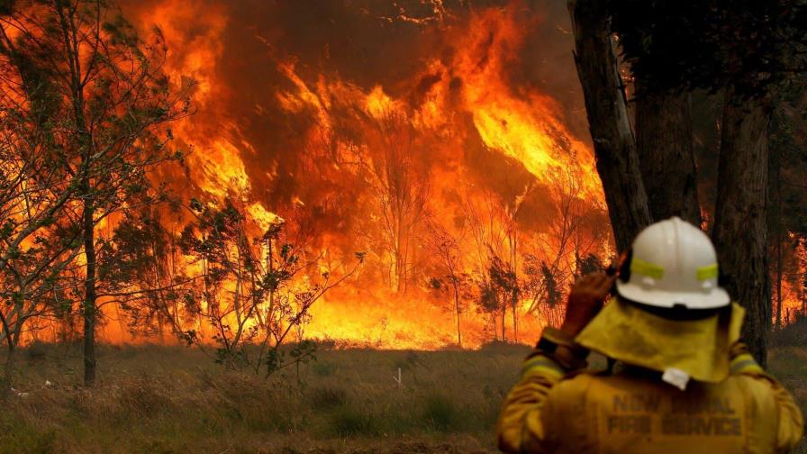 Al menos dos muertos a raíz de los incendios forestales en el noreste de Australia