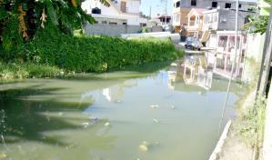 En la "calle de la laguna", residentes demandan la conclusión de los trabajos de la Caasd