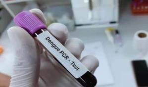 Aumenta demanda de pruebas para detectar el dengue en provincias del Este