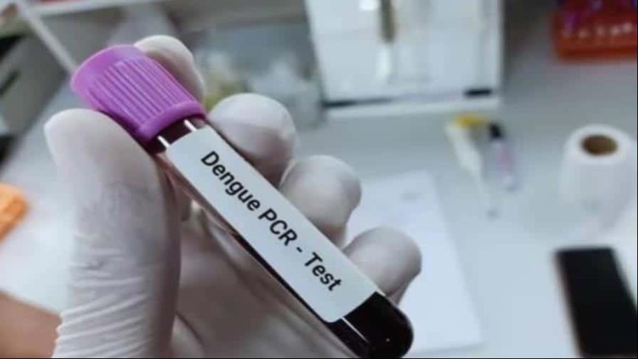 Aumenta demanda de pruebas para detectar el dengue en provincias del Este